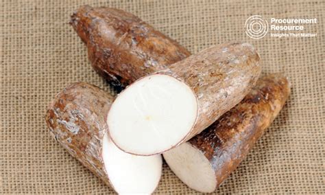Cassava Price in US .